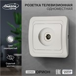 Розетка телевизионная одноместная Luazon Lighting "Орион", скрытая, серебристая 9919867