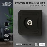 Розетка телевизионная одноместная Luazon Lighting "Орион", скрытая, черная 9919868