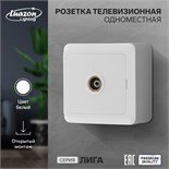 Розетка телевизионная одноместная Luazon Lighting "Лига", накладная, белая 9919941