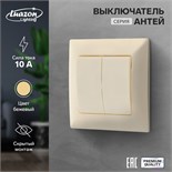 Выключатель Luazon Lighting "Антей", 10 А, 2 клавиши, скрытый, бежевый 9925746