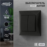 Выключатель Luazon Lighting "Антей", 10 А, 2 клавиши, скрытый, черный 9925748