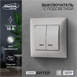 Выключатель Luazon Lighting "Антей", 10 А, 2 клавиши, скрытый, с подсветкой, серебристый 9925751