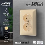 Розетка двухместная Luazon Lighting "Антей", 16 А, скрытая, с з/к, бежевая 9925778