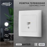 Розетка телефонная одноместная Luazon Lighting "Антей", скрытая, белая 9925785