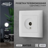 Розетка телевизионная одноместная Luazon Lighting "Антей", скрытая, белая 9925789