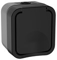 Розетка 1-м ОП TORS 16А IP55 TS120 с заземл. с крышкой графит IEK TS-R16-16-55-K53 1761218 - фото 16603345