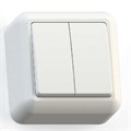 Выключатель 2-кл. ОП Оптима 10А IP20 А510-380 с монтаж. пластиной сл. кость Кунцево 8033 371099 - фото 16605194