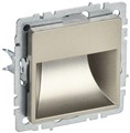 Подсветка светодиодная BRITE встраив. ПЛ20-БрШ механизм шампань IEK BR-FL20-K37 1679759 - фото 16616438