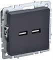 Розетка BRITE USB A+A 3.1А РЮ10-1-БрГ механизм графит IEK BR-U21-D31-K53 1679781 - фото 16616441