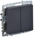 Выключатель 2-кл. СП BRITE ВС10-2-0-БрГ 10А механизм графит IEK BR-V20-0-10-K53 1647574 - фото 16620765