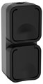 Розетка 2-м ОП TORS 16А IP55 TS132 вертик. с заземл. с крышкой графит IEK TS-R26-16-55-V-K53 1761222 - фото 16621204