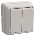 Выключатель 2-кл. ОП Октава 10А IP20 ВС20-2-0-ОКм крем. IEK EVO20-K33-10-DC 245850 - фото 16622522