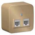 Розетка компьютерная 2-м ОП Blanca RJ45 кат.5E с изолир. пластиной титан SE BLNIA045454 1210606 - фото 16623592