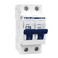 Выключатель автоматический модульный 2П 20А 6кА х-ка C TOKOV Electric TKE-PZ60-MCBI-2-20-C 1848379 - фото 16626064