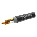 Кабель TOKOV ELECTRIC ППГнг(А)-HF 3х6 ОК (N PE) 0.66кВ (м) ТХМ00409116 1871907 - фото 16626105