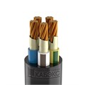 Кабель ВВГнг(А)-FRLS 5х50 МК (N PE) 1кВ (м) Кабэкс ТХМ00217933 429658 - фото 16627802