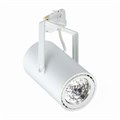 Светильник светодиодный ST320T LED39S/PW9 PSU WB WH PHILIPS 910500459401 1206536 - фото 16632308