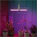 Лампа светодиодная LED-P65-16W/SPSB/E27/FR/P2 PLP32WH 16Вт P65 лепестковая матовая E27 для растений спектр для рассады и цветения (упак. картон) Uniel UL-00007406 1381896 - фото 16633395