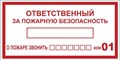 Наклейка "Ответственный за пожарную безопасность" B03 100х200мм PROxima EKF an-4-05 476908 - фото 16664888
