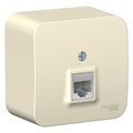 Розетка компьютерная 1-м ОП Blanca RJ45 кат.5E с изолир. пластиной молочн. SE BLNIA045002 1210523 - фото 16672704
