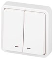 Выключатель Эксперт 11-1525-01 двойн. с подсветкой IP55 10АХ-250В СУ бел. Эра Б0063304 1871628 - фото 16674467