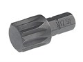 JTC-1162512 - Бита SPLINE M12х25мм 1/4" DR JTC - 
Материал: S2.
Размер: M12.
Длина: 25 мм.
Количество шт. в упаковке: 10. JTC-1162512 - фото 16682288