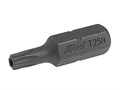 JTC-1367508 - Бита SPLINE M8х75мм 10мм удлиненная S2 JTC - 
Размер: М8.
Общая длина: 75 мм.
Длина насадки: 10 мм удлиненная SL.
Материал: S2 сталь. JTC-1367508 - фото 16682312