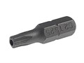 JTC-1192525 - Бита TORX TS25Hх25мм 1/4" 5-ти гранная с отверстием JTC - 
Материал: S2.
Размер: TS25H.
Длина: 25 мм.
Количество шт. в упаковке: 10. JTC-1192525 - фото 16682319