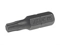 JTC-1132525 - Бита TORX Т25х25мм 1/4" JTC - 
Материал: S2.
Размер: T25.
Длина: 25 мм.
Количество шт. в упаковке: 10. JTC-1132525 - фото 16682371