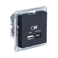 Розетка USB AtlasDesign тип A+C 45Вт QC PD высокоскор. ЗУ механизм карбон SE ATN001029 1668220 - фото 16691527