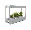 Подставка-светильник PMG 002 LED 14Вт 4000К для растений JazzWay 5009554 484720 - фото 16705034
