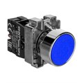 Кнопка управления NP2-BA61 без подсветки син. 1НО IP40 CHINT 574845 1612025 - фото 16705246
