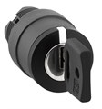 Головка переключателя с ключом SchE ZB5AG05 1047508 - фото 16705437