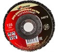 Диск шлифовальный коралловый для УШМ 125 х 13 х 22.2мм SKRAB 34675 34675 - фото 16734845
