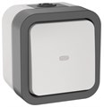 Переключатель 1-кл. ОП TORS 10А IP55 TS202 с индикацией бел. IEK TS-V10-1-10-55-K41 1761225 - фото 16736350