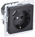 Розетка BRITE РЮш11-1-БрЧ 16А с USB A+C 18Вт с заземл. защ. шторки механизм черн. IEK BR-R14-16-U22-018-K02 1679798 - фото 16736588