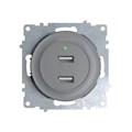 Розетка USB 2-м СП Florence 16А IP20 с подсветкой механизм сер. (1E10351302) OneKeyElectro 2260091 1656749 - фото 16736673