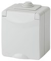 Розетка 1-м ОП Эра Эксперт 11-2602-03 16А IP65 250В 2P+E защ. шторки сер. Эра Б0035990 1306384 - фото 16737401
