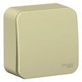 Выключатель 1-кл. ОП Blanca 10А IP20 (сх. 1) 250В с изолир. пластиной беж. SE BLNVA101017 520093 - фото 16737581