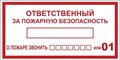 Наклейка "Ответственный за пожарную безопасность" B03 100х200мм PROxima EKF an-4-05 476908 - фото 16737796