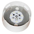 Светильник ДББ "Спецсвет" 03-007-401 (316) LED 7Вт 5000К IP20 настенный/без стекла/корпус прямой АС220В (групп.упак.) Элетех 1030450316 468098 - фото 16737863