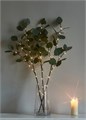 Ветвь эвкалипта иммитация 62см 32LED тепл. бел. IP44 6ч таймер кабель корич. 50см (уп.3шт) КОСМОС KOC_INT-B131 1757844 - фото 16739335