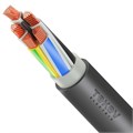 Кабель TOKOV ELECTRIC ВВГнг(А)-LSLTx 5х50 МС (N PE) 1кВ (м) УТ000030611 1917063 - фото 16739808