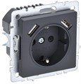 Розетка BRITE РЮш10-1-БрГ 16А с USB A+A 2.1А с заземл. защ. шторки механизм графит IEK BR-R14-16-U21-D21-K53 1679778 - фото 16740559