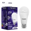 Лампа светодиодная 25Вт А60 4000К Е27 176-264В TOKOV ELECTRIC TKE-A60-E27-25-4K 1660378 - фото 16740609