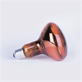 Лампа-термоизлучатель ИКЗК 230-60Вт R63 E27 (50) КЭЛЗ 8105041 1614020 - фото 16740753