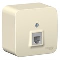Розетка телефонная 1-м ОП Blanca RJ11 с изолир. пластиной молочн. SE BLNIA011002 1210522 - фото 16741893