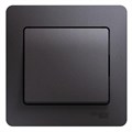 Выключатель 1-кл. СП Glossa 10А IP20 (сх. 1) 10AX в сборе графит SE GSL001312 454403 - фото 16741982