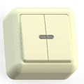 Выключатель 2-кл. ОП Оптима 10А IP20 А510-387 с индикацией с монтаж. пластиной сл. кость Кунцево 8034 371100 - фото 16742308
