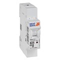 Выключатель автоматический модульный OptiDin BM63-1B25-4.5-УХЛ3 КЭАЗ 329503 1671011 - фото 16744616